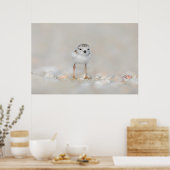 Kutest Baby Animals | Pijpgooisteen Poster (Keuken)