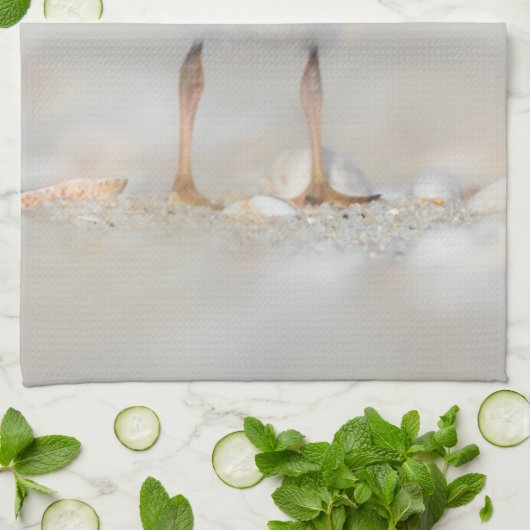 Kutest Baby Animals | Pijpgooisteen Theedoek (Gevouwen)