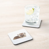 Kutest Baby Animals | Pine Marten Bier Onderzetter (Rechterzijde)