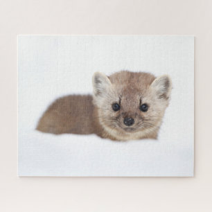 Kutest Baby Animals   Pine Marten Legpuzzel
