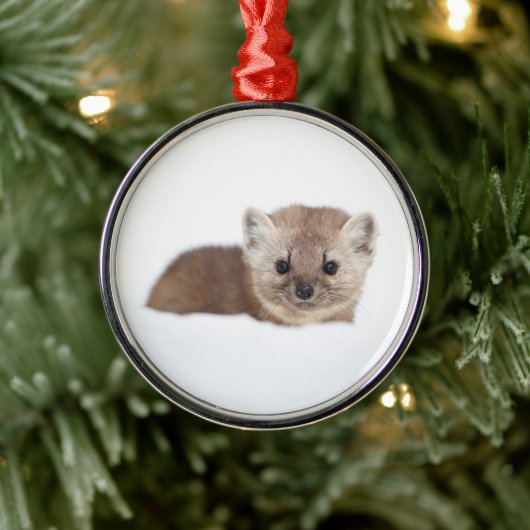 Kutest Baby Animals | Pine Marten Metalen Ornament (Boom)