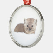 Kutest Baby Animals | Pine Marten Metalen Ornament (Links)