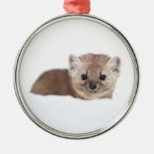 Kutest Baby Animals | Pine Marten Metalen Ornament (Voorkant)