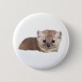 Kutest Baby Animals | Pine Marten Ronde Button 5,7 Cm (Voorkant)