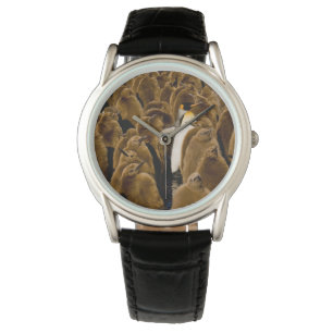 Kutest Baby Animals   Pinguïn onder jongeren Horloge