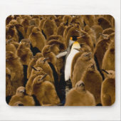 Kutest Baby Animals | Pinguïn onder jongeren Muismat (Voorkant)