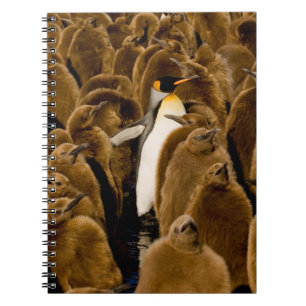 Kutest Baby Animals Pinguïn onder jongeren Notitieboek