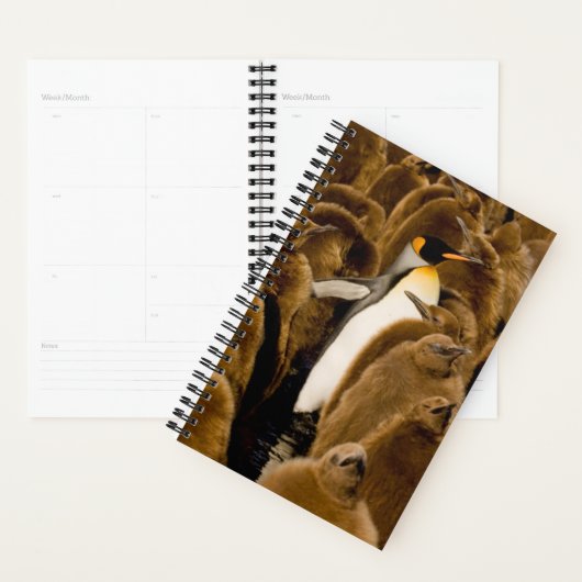 Kutest Baby Animals | Pinguïn onder jongeren Planner (Display)