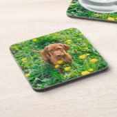 Kutest Baby Animals | Pointer Puppy Bier Onderzetter (Linkerzijde)