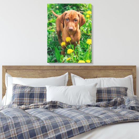 Kutest Baby Animals | Pointer Puppy Canvas Afdruk (Insitu (Slaapkamer))