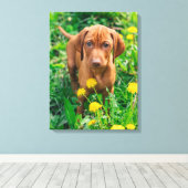 Kutest Baby Animals | Pointer Puppy Canvas Afdruk (Insitu (Houten vloer))