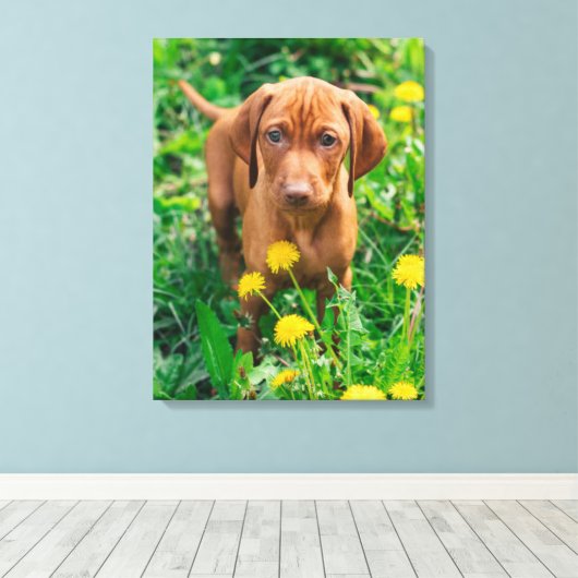 Kutest Baby Animals | Pointer Puppy Canvas Afdruk (Insitu (Houten vloer))
