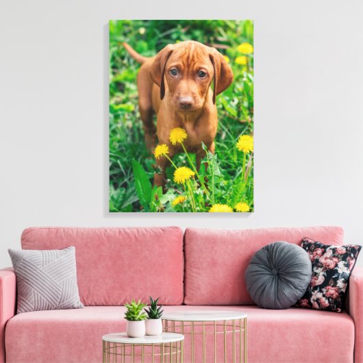 Kutest Baby Animals | Pointer Puppy Canvas Afdruk (Insitu (Woonkamer))