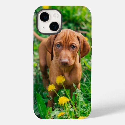 Kutest Baby Animals | Pointer Puppy Case-Mate iPhone Case (Achterkant)