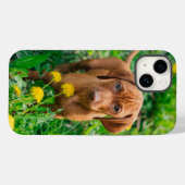 Kutest Baby Animals | Pointer Puppy Case-Mate iPhone Case (Achterkant (horizontaal))