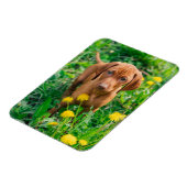 Kutest Baby Animals | Pointer Puppy Magneet (Linkerzijde)