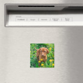 Kutest Baby Animals | Pointer Puppy Magneet (Insitu (Vaatwasser))