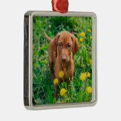 Kutest Baby Animals | Pointer Puppy Metalen Ornament (Rechts)
