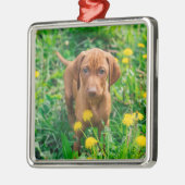 Kutest Baby Animals | Pointer Puppy Metalen Ornament (Links)