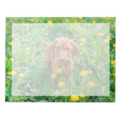 Kutest Baby Animals | Pointer Puppy Notitieblok (Voorkant)