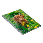 Kutest Baby Animals | Pointer Puppy Notitieboek (Rechterzijde)