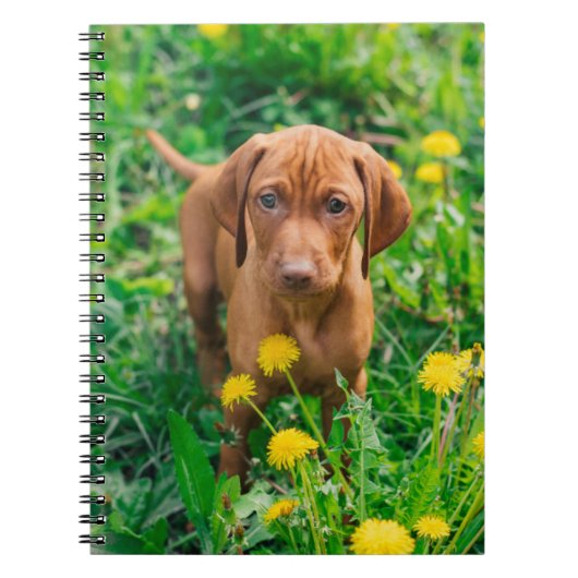 Kutest Baby Animals | Pointer Puppy Notitieboek (Voorkant)