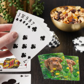Kutest Baby Animals | Pointer Puppy Pokerkaarten (Insitu)
