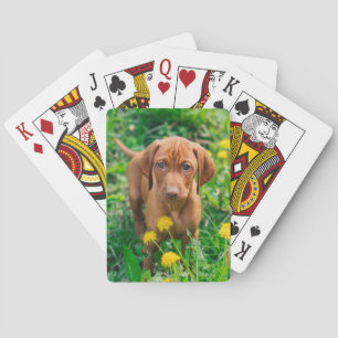 Kutest Baby Animals Pointer Puppy Pokerkaarten