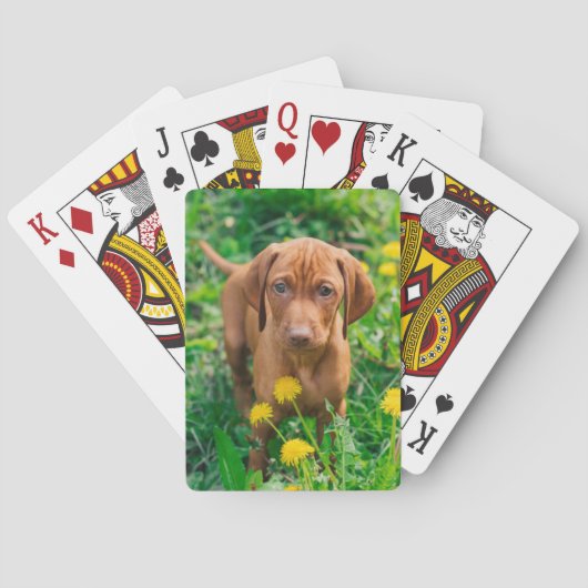 Kutest Baby Animals | Pointer Puppy Pokerkaarten (Achterkant)