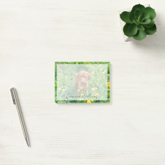 Kutest Baby Animals | Pointer Puppy Post-it® Notes (Kantoor)