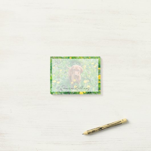 Kutest Baby Animals | Pointer Puppy Post-it® Notes (Op bureau)