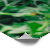 Kutest Baby Animals | Pointer Puppy Poster (Hoek)