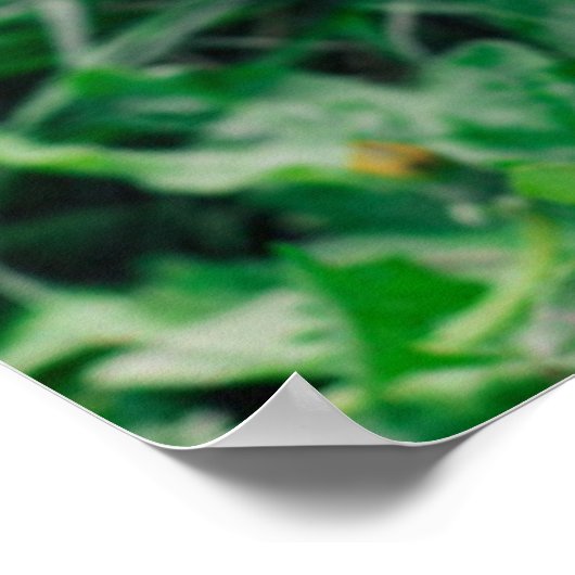 Kutest Baby Animals | Pointer Puppy Poster (Hoek)