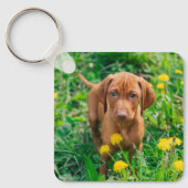 Kutest Baby Animals | Pointer Puppy Sleutelhanger (Voorkant)