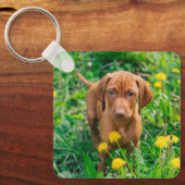 Kutest Baby Animals | Pointer Puppy Sleutelhanger (Voorkant)