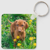 Kutest Baby Animals | Pointer Puppy Sleutelhanger (Achterkant)
