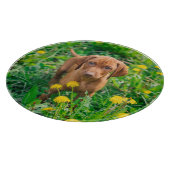 Kutest Baby Animals | Pointer Puppy Snijplank (Hoek)