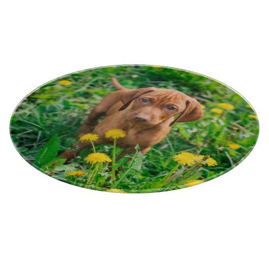 Kutest Baby Animals | Pointer Puppy Snijplank (Hoek)