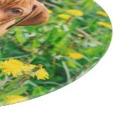 Kutest Baby Animals | Pointer Puppy Snijplank (Hoek)