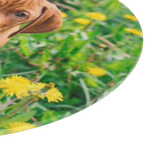 Kutest Baby Animals | Pointer Puppy Snijplank (Hoek)