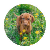 Kutest Baby Animals | Pointer Puppy Snijplank (Voorkant)