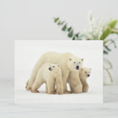 Kutest Baby Animals | Polaire Beer Bedankkaart (Staand voorkant)