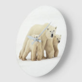 Kutest Baby Animals | Polaire Beer Grote Klok (Hoek)