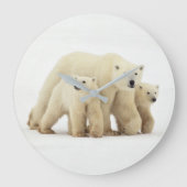 Kutest Baby Animals | Polaire Beer Grote Klok (Voorkant)