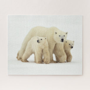 Kutest Baby Animals   Polaire Beer Legpuzzel