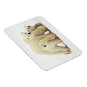Kutest Baby Animals | Polaire Beer Magneet (Rechterzijde)
