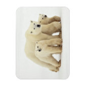 Kutest Baby Animals | Polaire Beer Magneet (Verticaal)