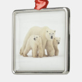 Kutest Baby Animals | Polaire Beer Metalen Ornament (Links)