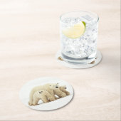 Kutest Baby Animals | Polaire Beer Ronde Kartonnen Onderzetter (Insitu)