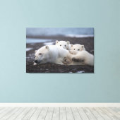 Kutest Baby Animals | Polar Beer Family Alaska Canvas Afdruk (Insitu (Houten vloer))